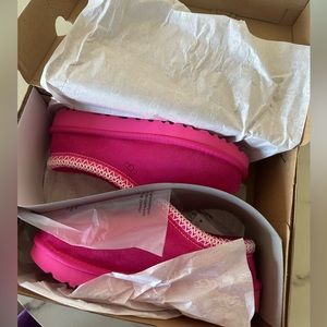 Brand New in Box pink UGG Tasman slippers